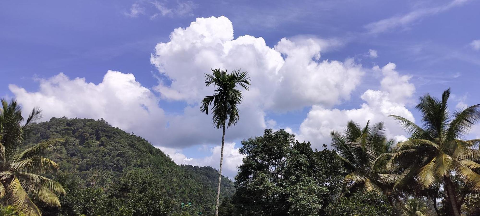 Himadri Munnar Holidays Leilighet Eksteriør bilde